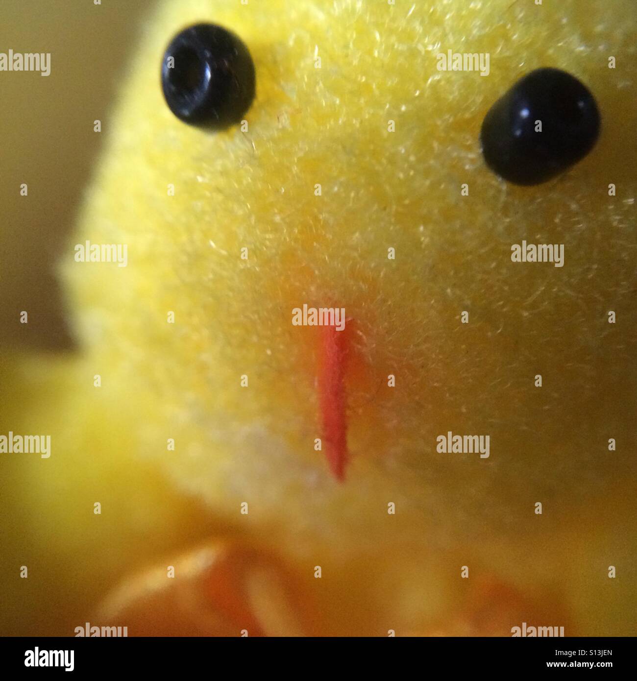 Dekorative Huhn - Nahaufnahme - Smartphone-aufgenommenes Stockfoto