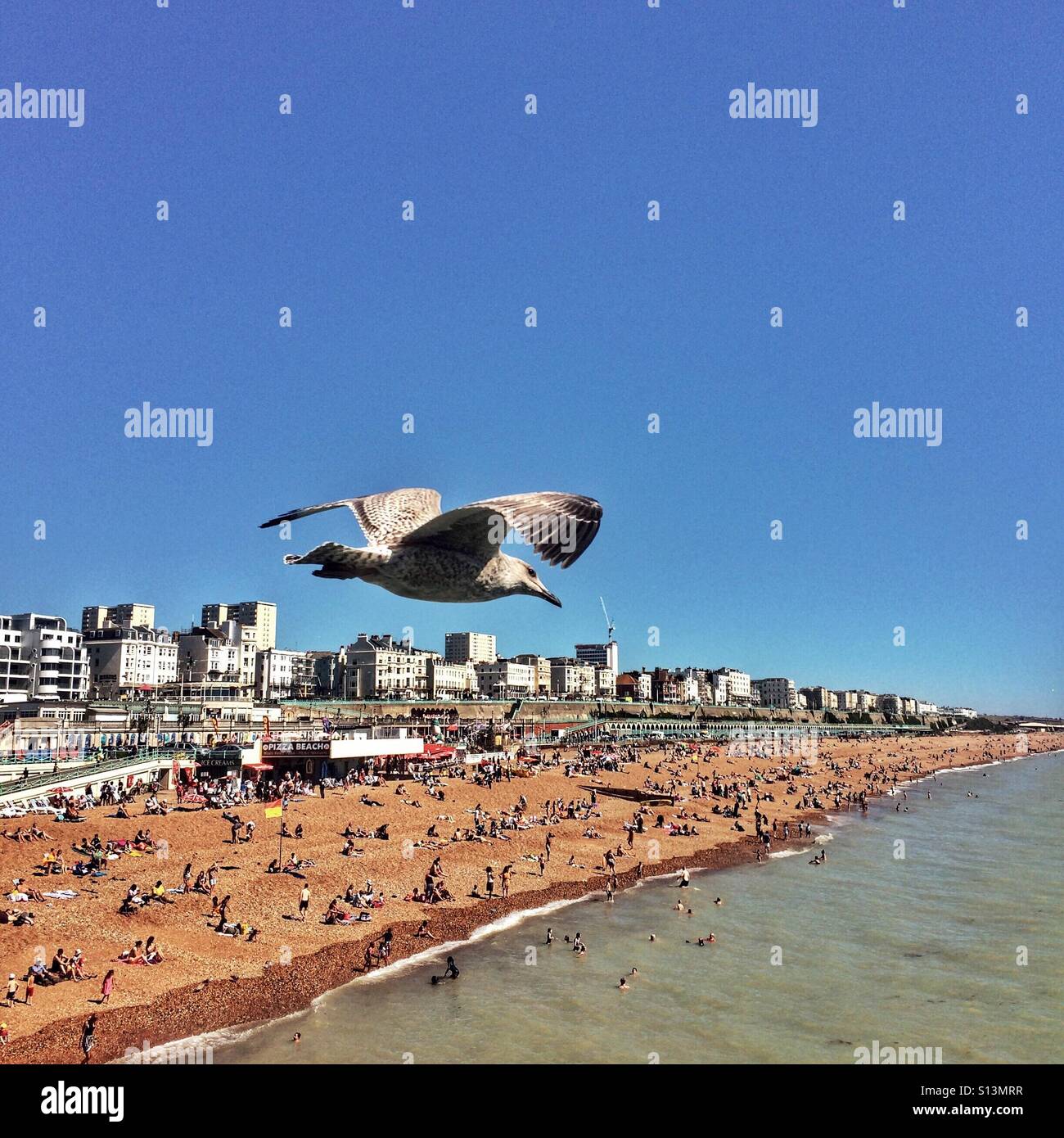 Brighton Seafront und Möwe - Smartphone-aufgenommenes Stockfoto