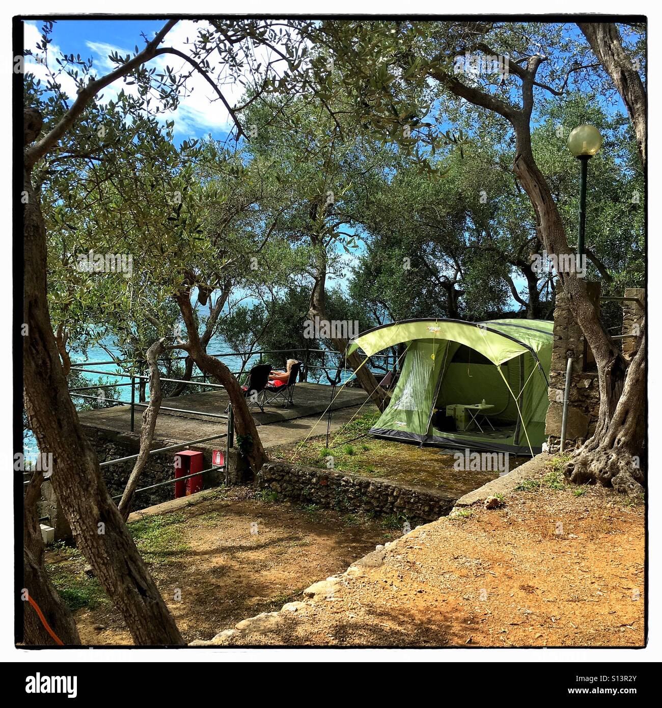 Camping in einem Vango Airbeam Zelt in einem Olivenhain in der Nähe von Meer in Italien Stockfoto