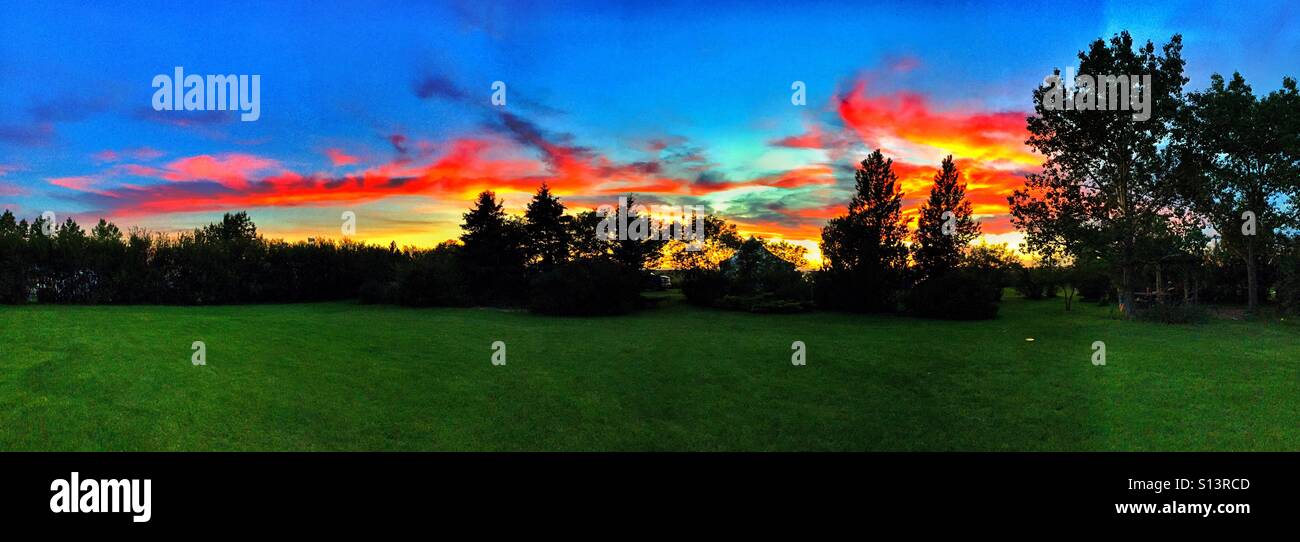 Sonnenuntergang-Silhouetten - Smartphone-aufgenommenes Stockfoto