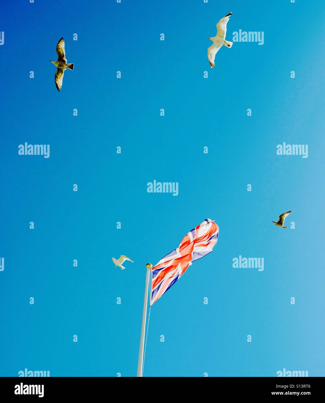 Möwen Kreisen einen britischen Union Jack-Flagge - Smartphone-aufgenommenes Stockfoto