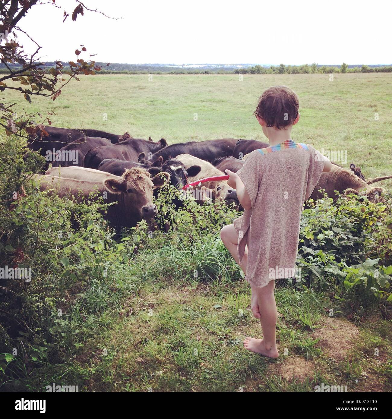 Sieben Jahre alten Jungen spielen eine Ukulele, ein gehört der Kühe. Stockfoto
