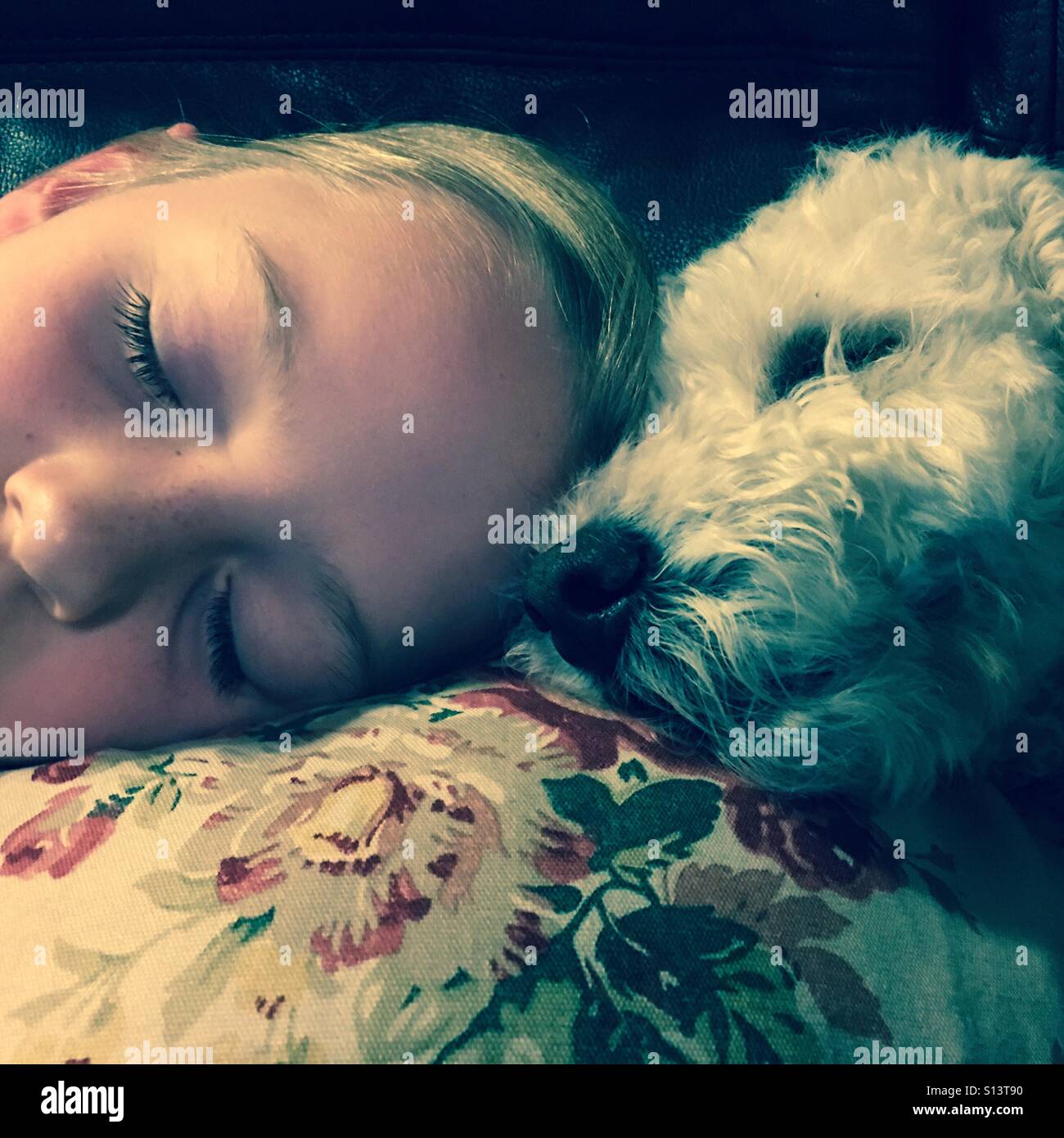 Kleines Mädchen schläft mit ihr bester Freund - ihr Hund Stockfoto