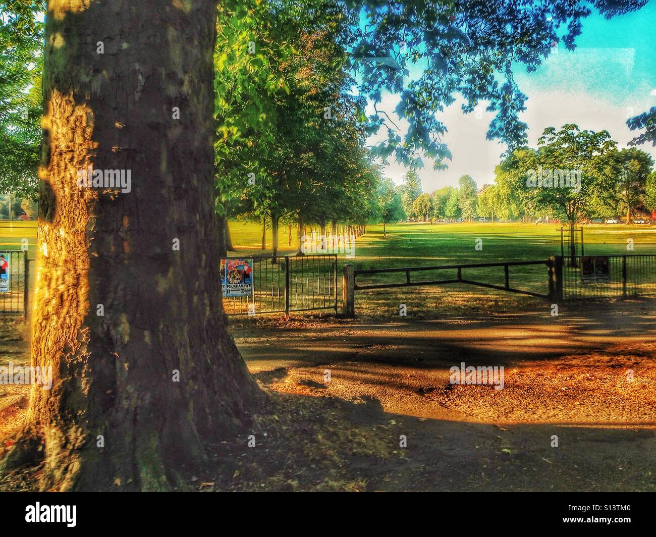 Peckham Rye Morgen. Stockfoto