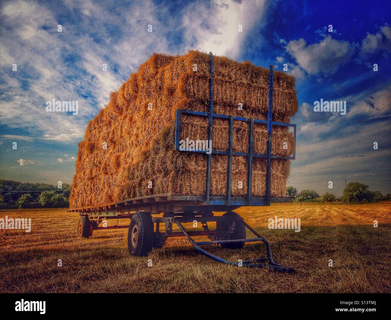 Heuballen auf einem Wagen in ein Feld gesetzt Stockfoto