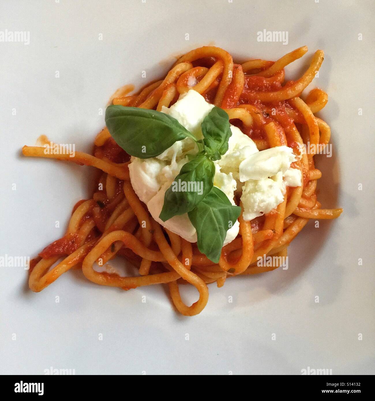 Pasta frische Spaghetti mit frischen Tomaten Sauce frische MozzarellaKäse und Basilikum