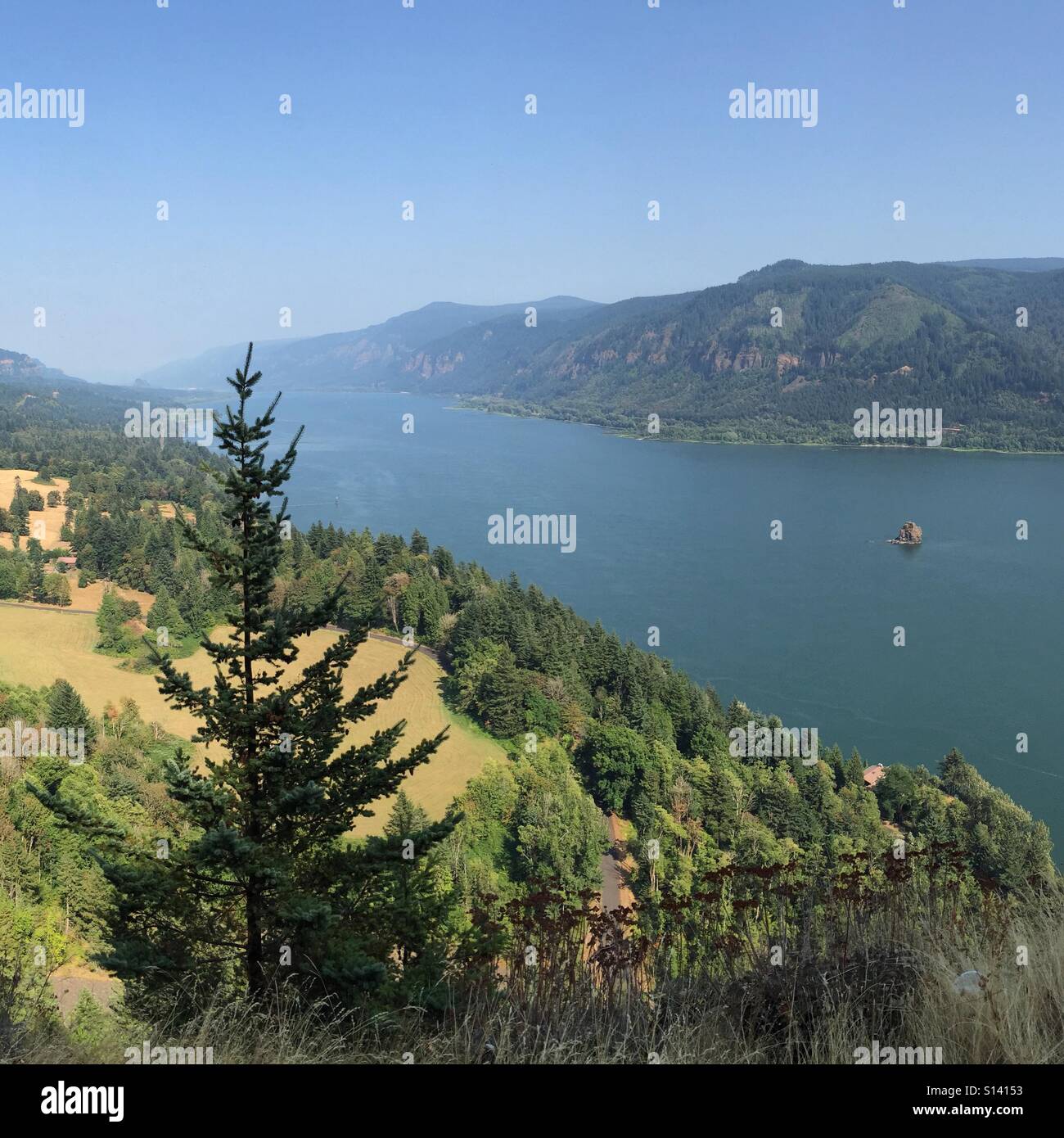 Columbia River Gorge Washington Seite Stockfoto