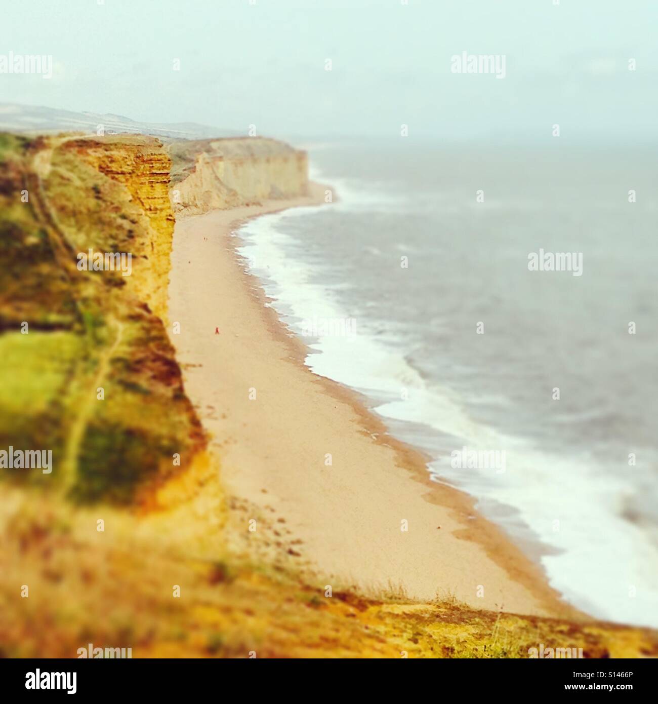 Mit Blick auf die Jurassic Coast in der Nähe von West Bay, Dorset. Der Jurassic Coast ist ein UNESCO-Welterbe an der englischen Kanalküste Südenglands. Stockfoto