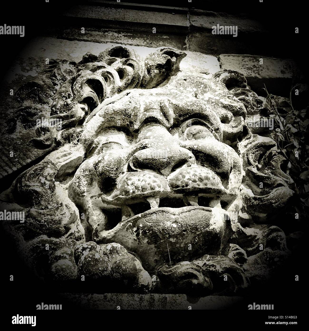 Steinrelief des Kopfes ein satyr - Smartphone-aufgenommenes Stockfoto