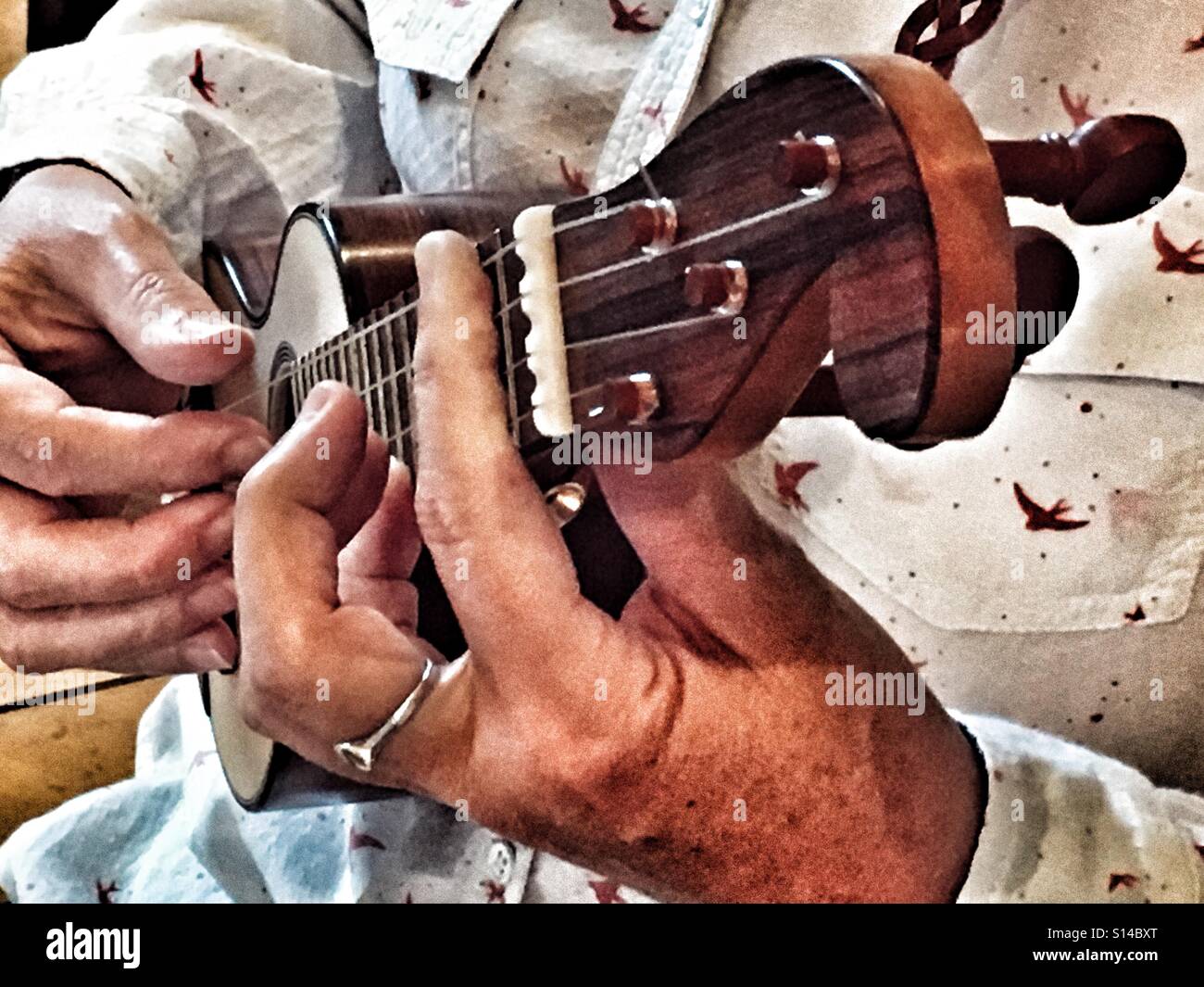 Frau spielt eine Machete de Braga oder Braguinha, eine vier Saiteninstrument aus Madeira. Dies ist eine Kopie von einem traditionellen Instrument von Scot Tremblay gemacht. - Smartphone-aufgenommenes Stockfoto