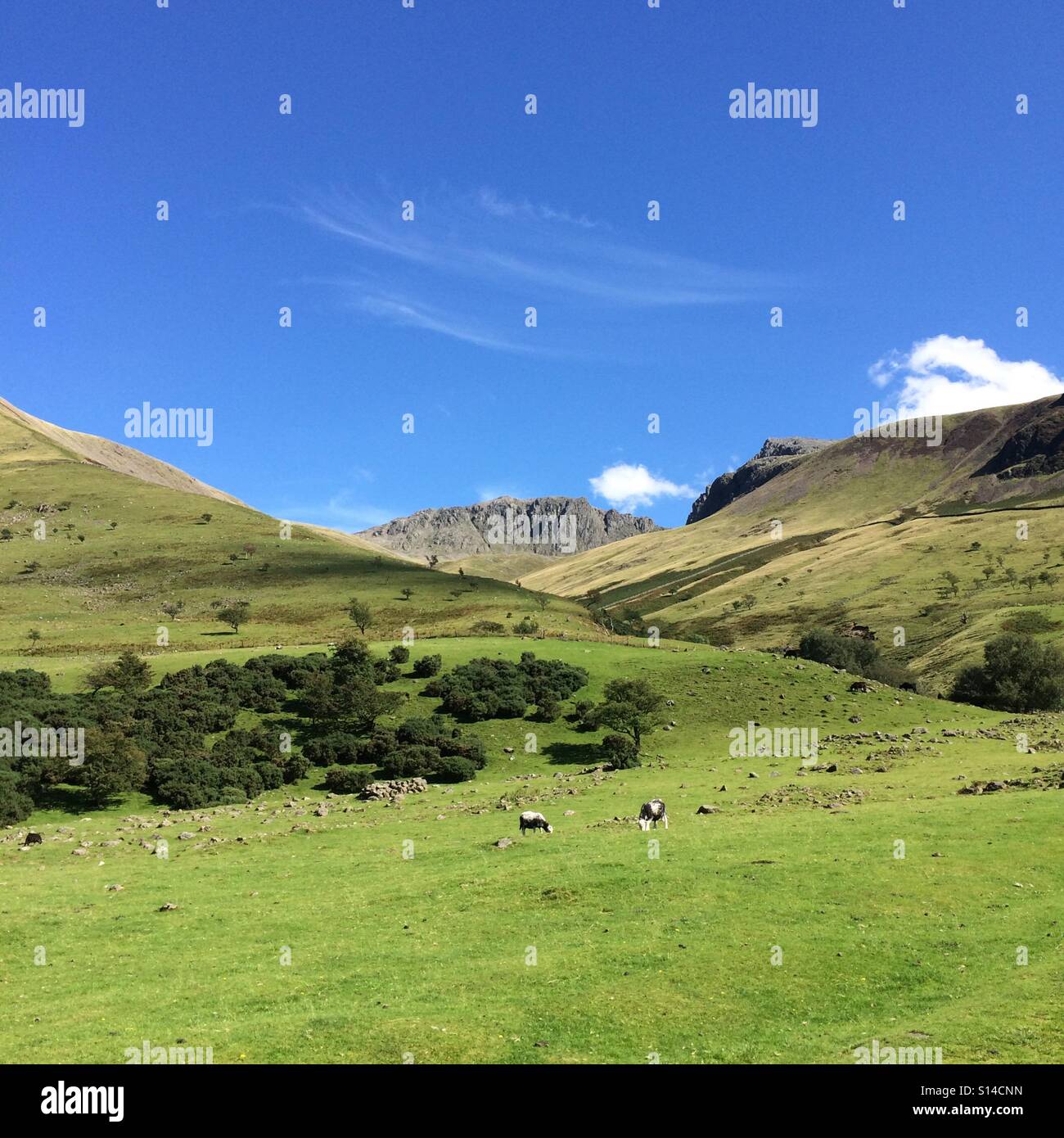Eine Ansicht der Scafell Pike, im Lake District, der höchste Berg Englands ist. - Smartphone-aufgenommenes Stockfoto
