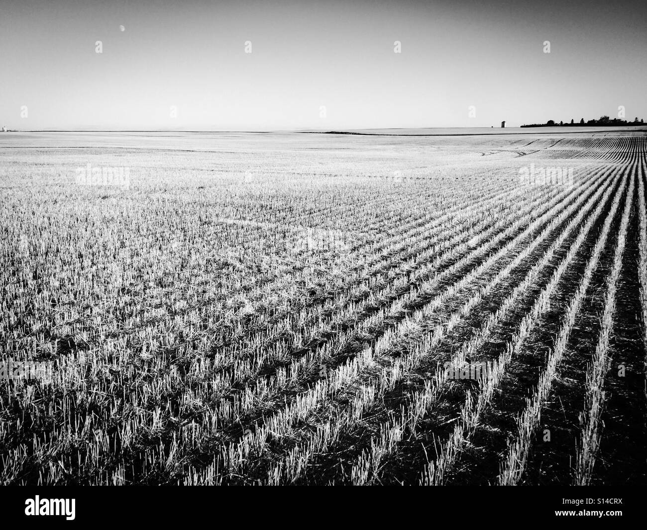 Eine Prärie-Ernte nach der Ernte, Wirtschaftsgebäuden am Horizont. Stockfoto