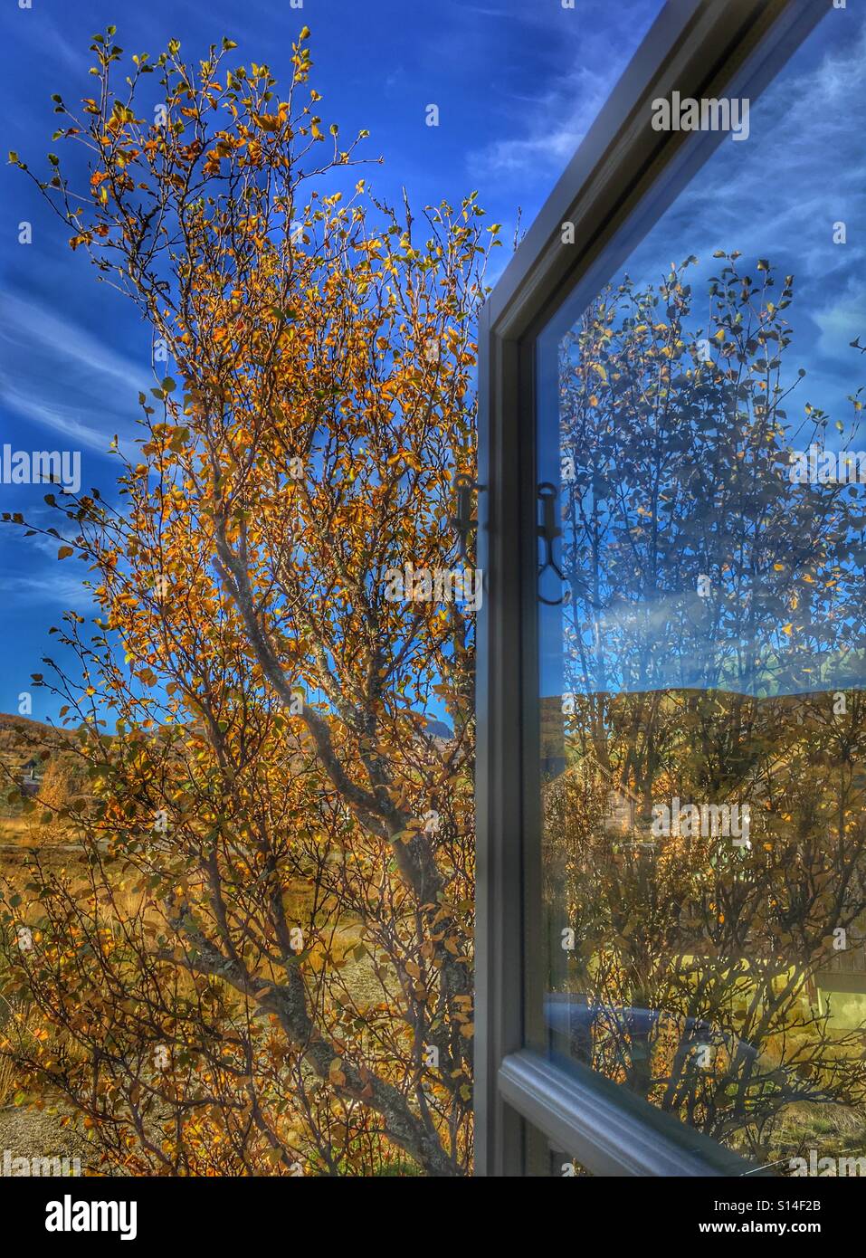 Herbst durch das Fenster Stockfoto