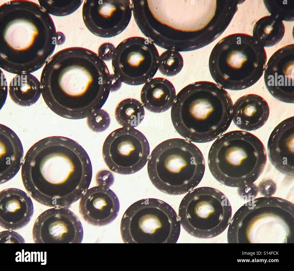 Wasserstoff-Peroxid Luftblasen unter dem Mikroskop. Stockfoto
