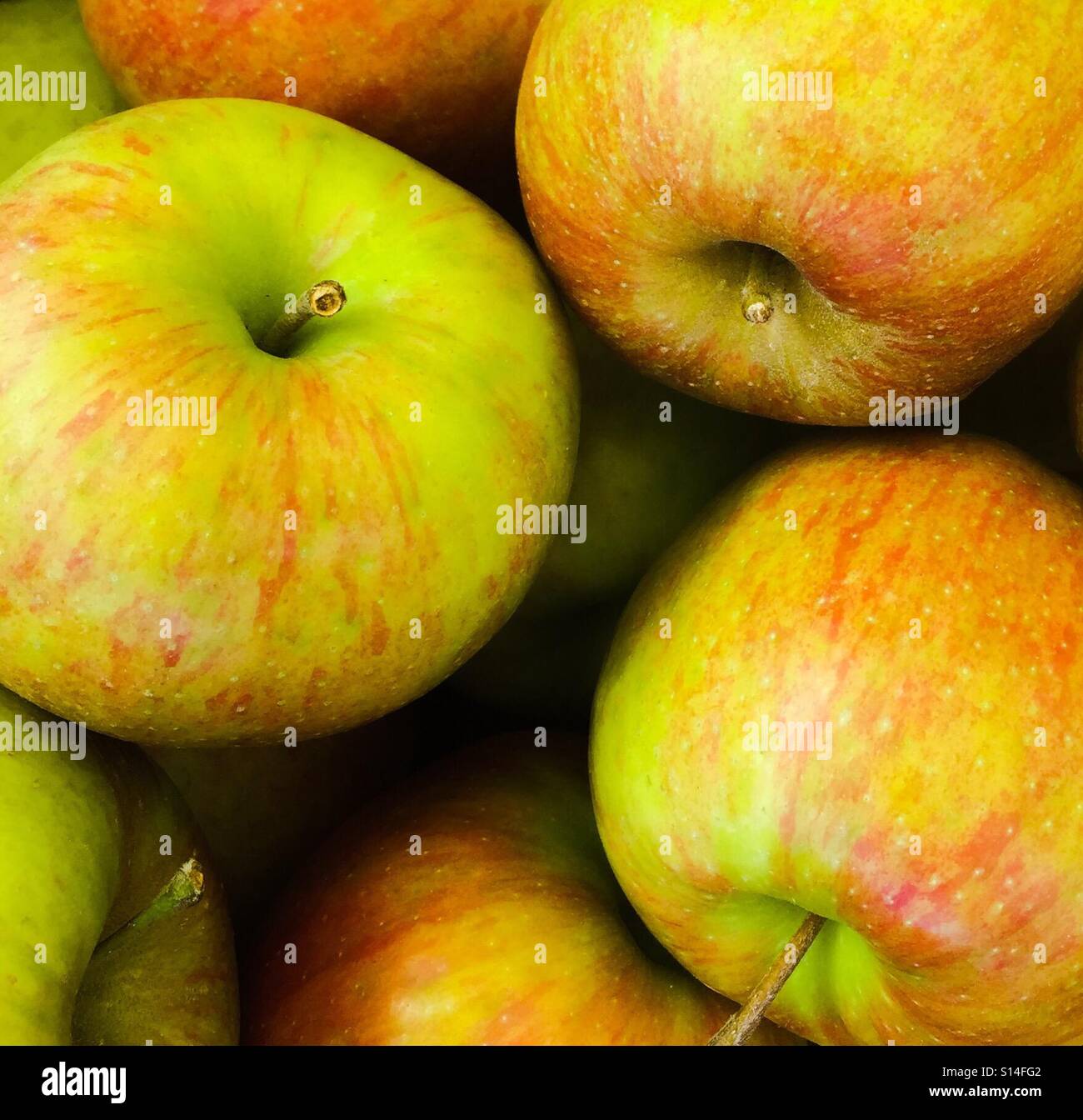 Berg-Äpfel Stockfoto