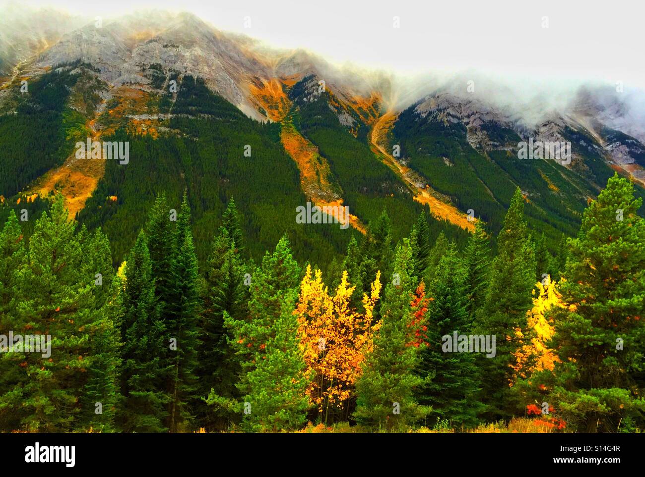 Herbst in Highwood Pass, kanadischen Rocky Mountains - Smartphone-aufgenommenes Stockfoto