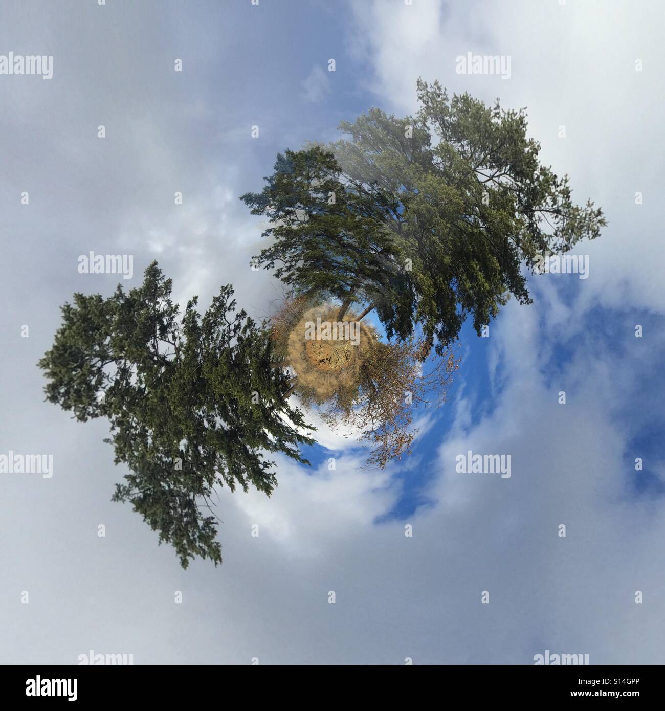 Winzigen Planeten Wald umgeben von weißen Wolken und blauer Himmel. - Smartphone-aufgenommenes Stockfoto