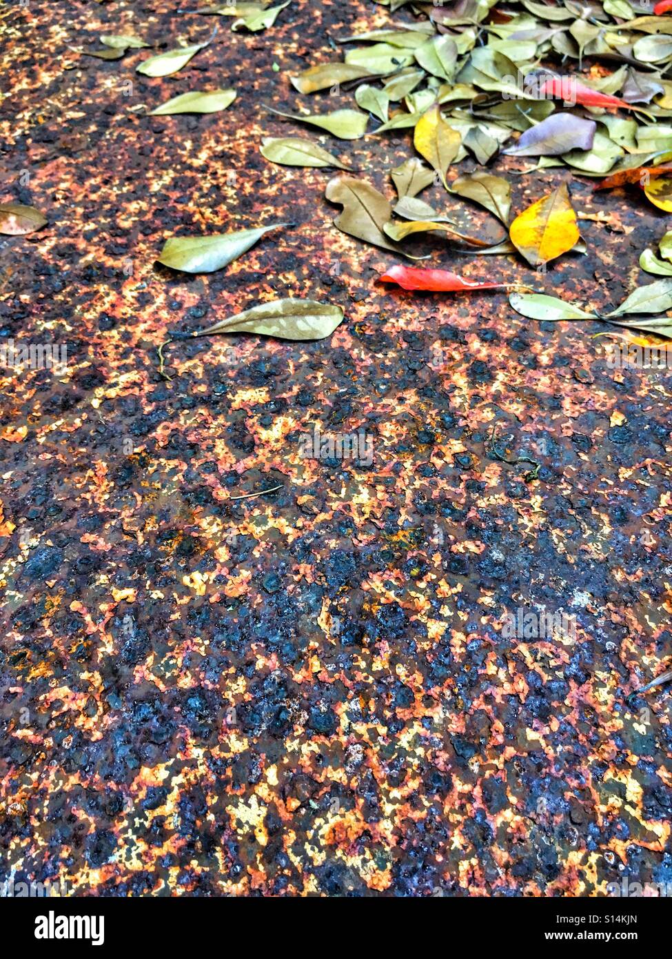 Herbst. Stockfoto