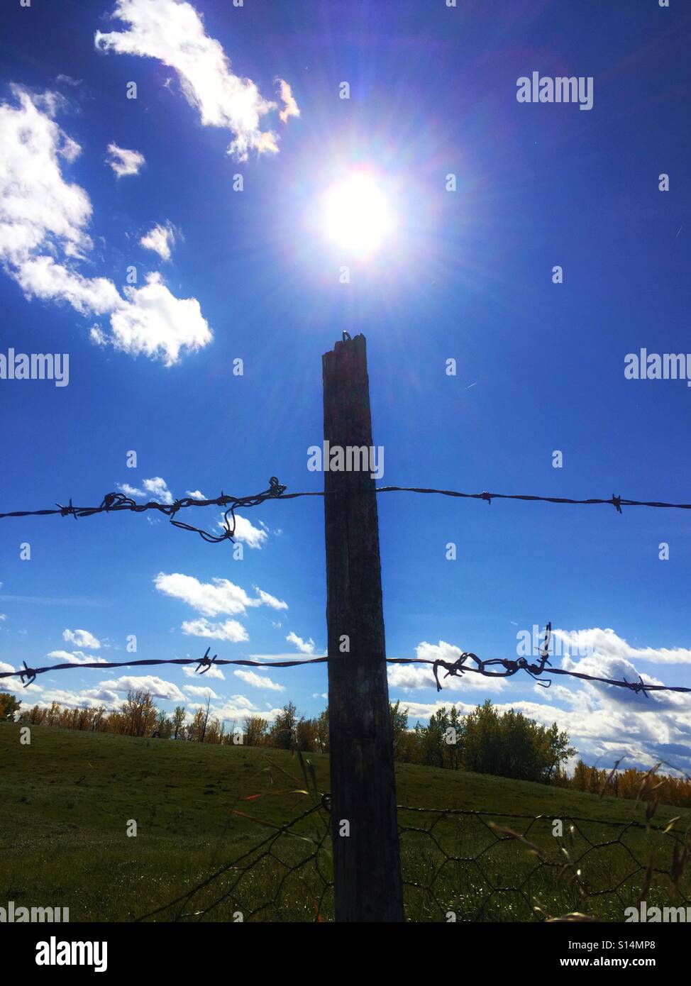 Ungerade Zaunpfosten auf die Sonne - Smartphone-aufgenommenes Stockfoto