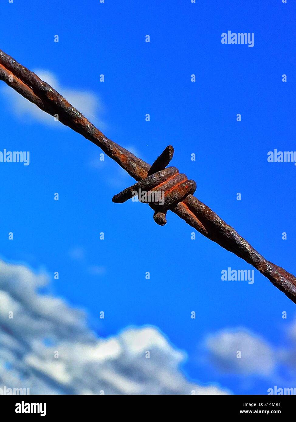 Rostigen Draht Widerhaken detail - Smartphone-aufgenommenes Stockfoto