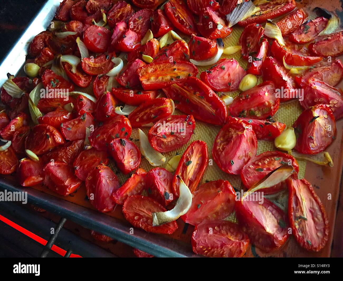 Tomaten im Ofen trocknen Stockfoto