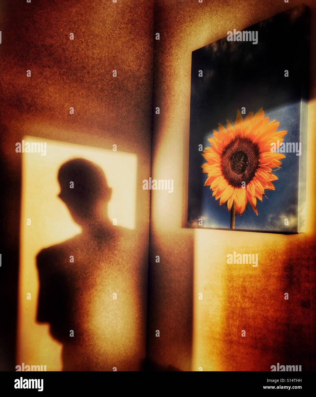 Schatten der Figur in der Tür des Saales mit Sonnenblumen Bild an der Wand Stockfoto