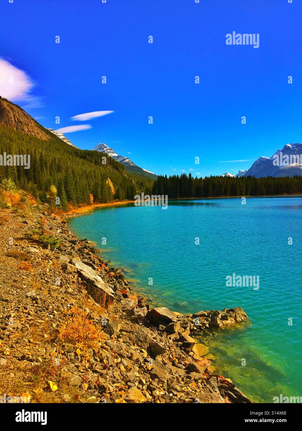 Wasservögel-See in den Bergen - Smartphone-aufgenommenes Stockfoto