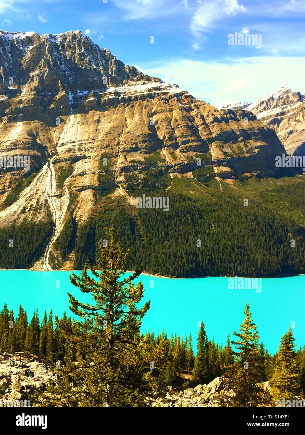 Peyto Lake, Banff Nationalpark, Alberta, Kanada - Smartphone-aufgenommenes Stockfoto