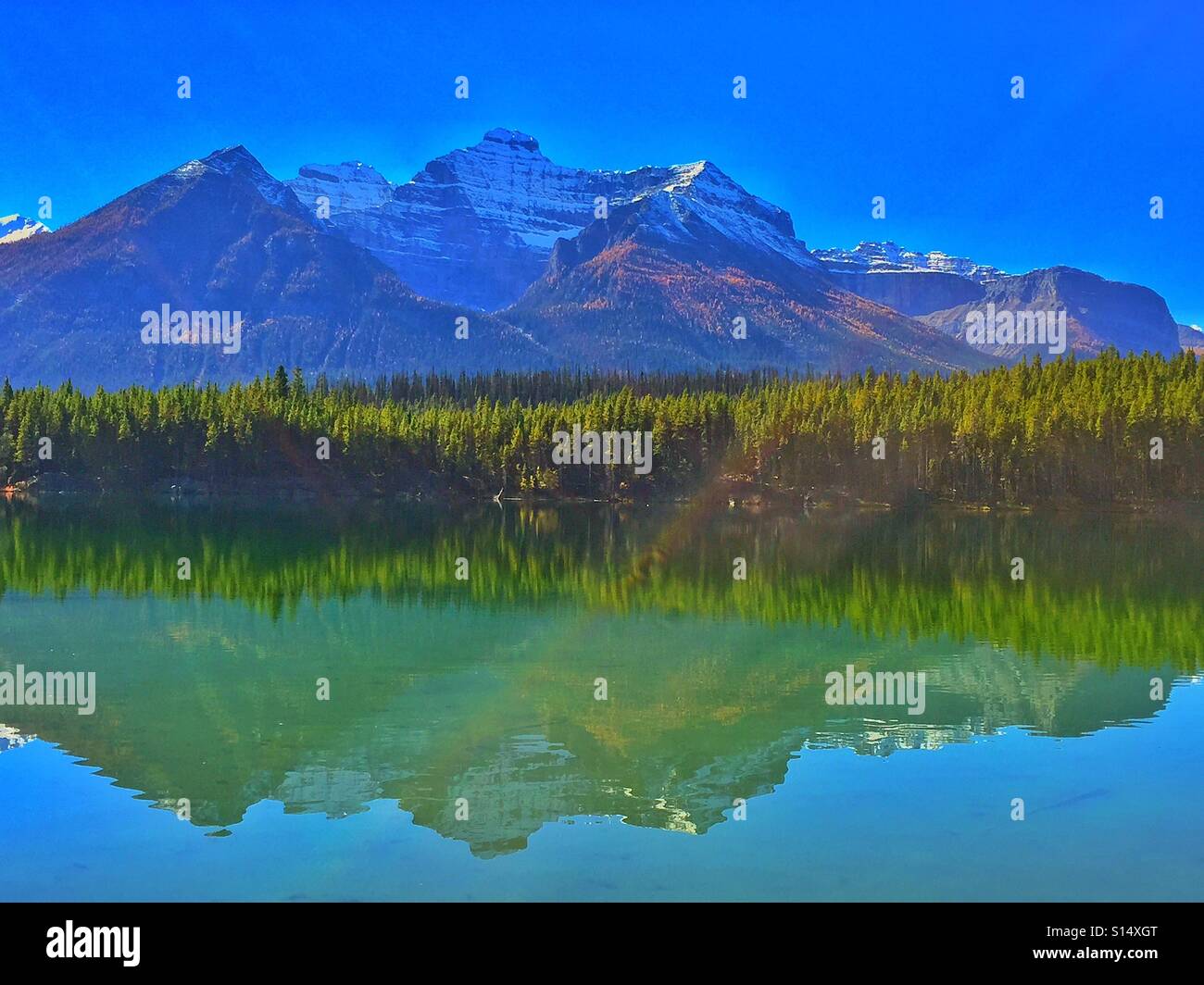 Herbst am Herbert Lake, Banff Nationalpark, Alberta, Kanada Stockfoto