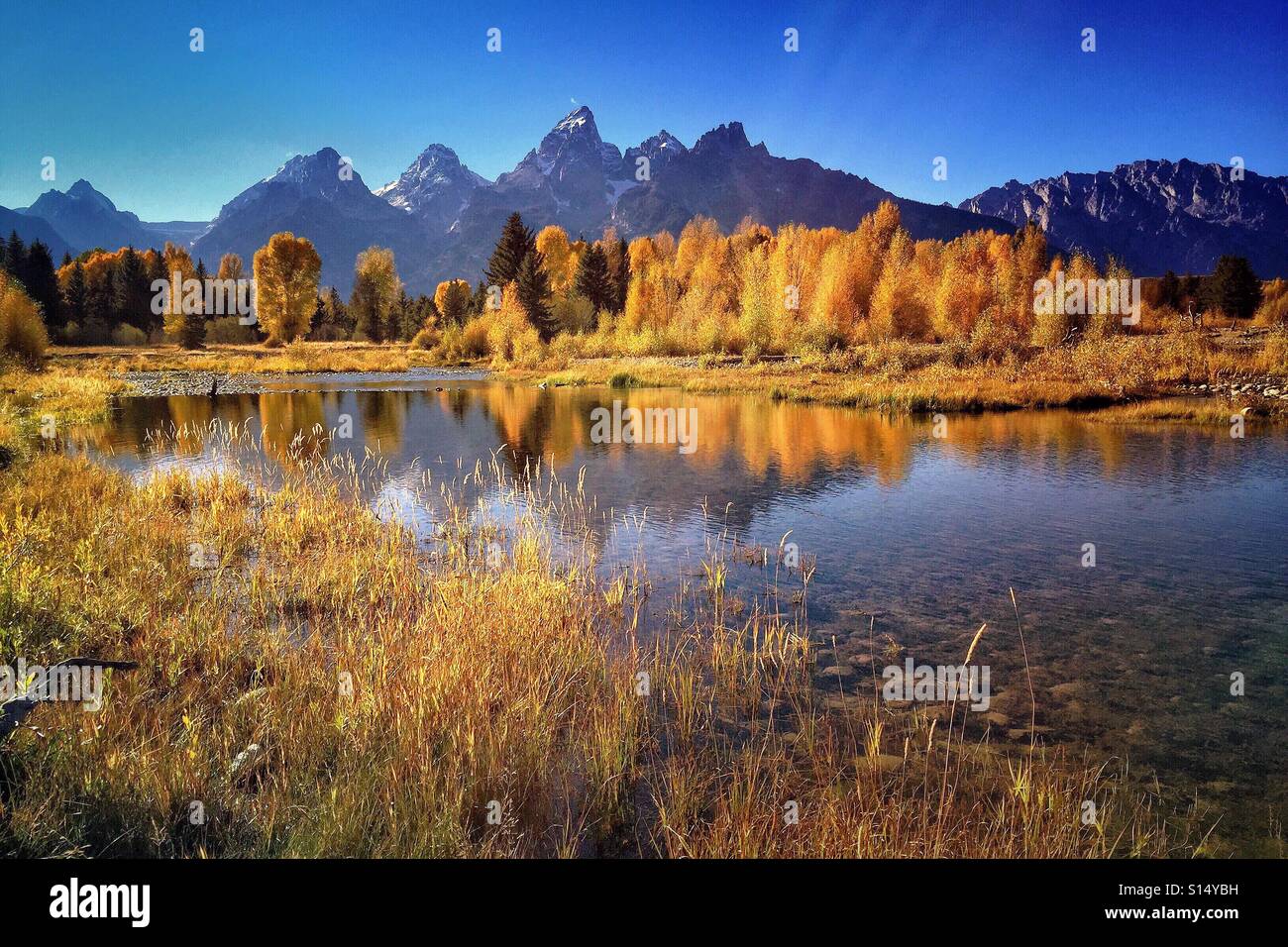 Herbstnachmittag im Grand Teton National Park, Blick über den Snake River auf den Grand Teton. - Smartphone-aufgenommenes Stockfoto