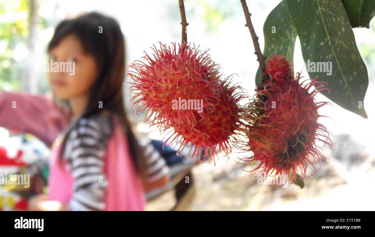 Nahaufnahme von Rambutan Früchte mit einem jungen Mädchen im Hintergrund Stockfoto