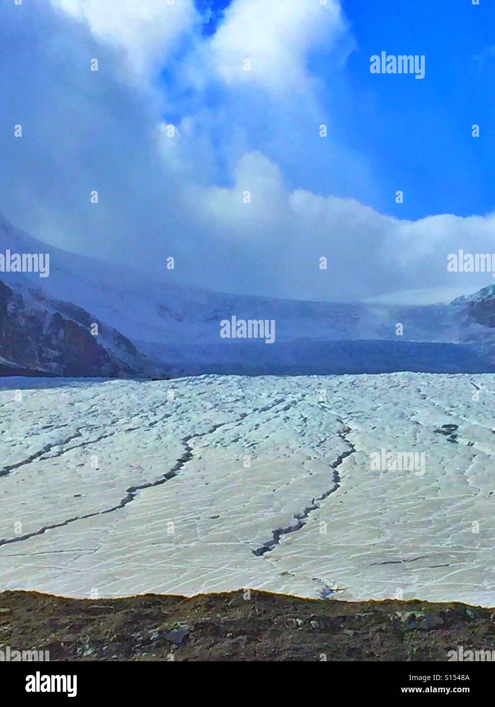 Columbia Eisfeldern und Athabasca Gletscher Stockfoto