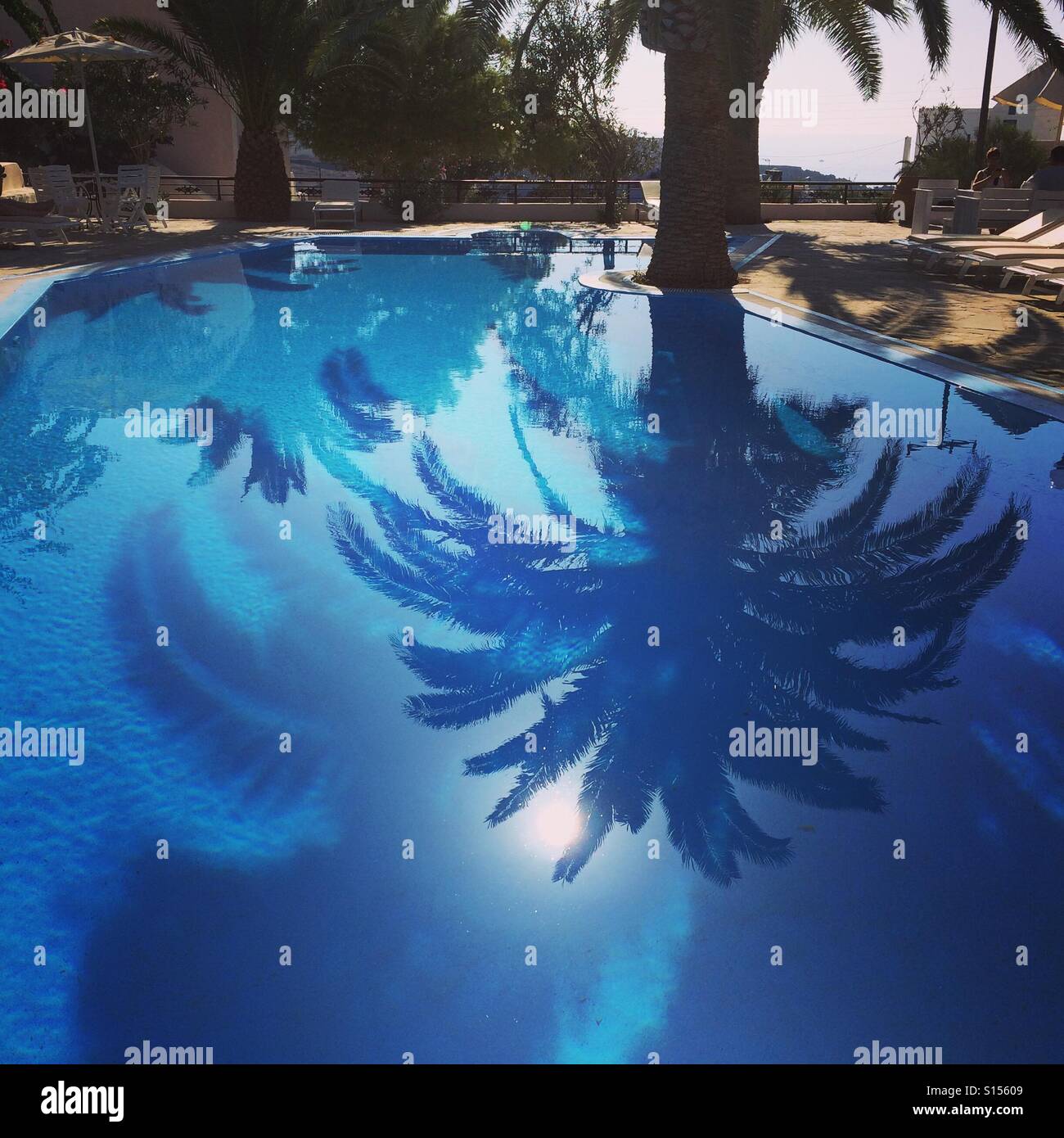 Schwimmbad-Reflexion einer Palme auf Santoroni Stockfoto