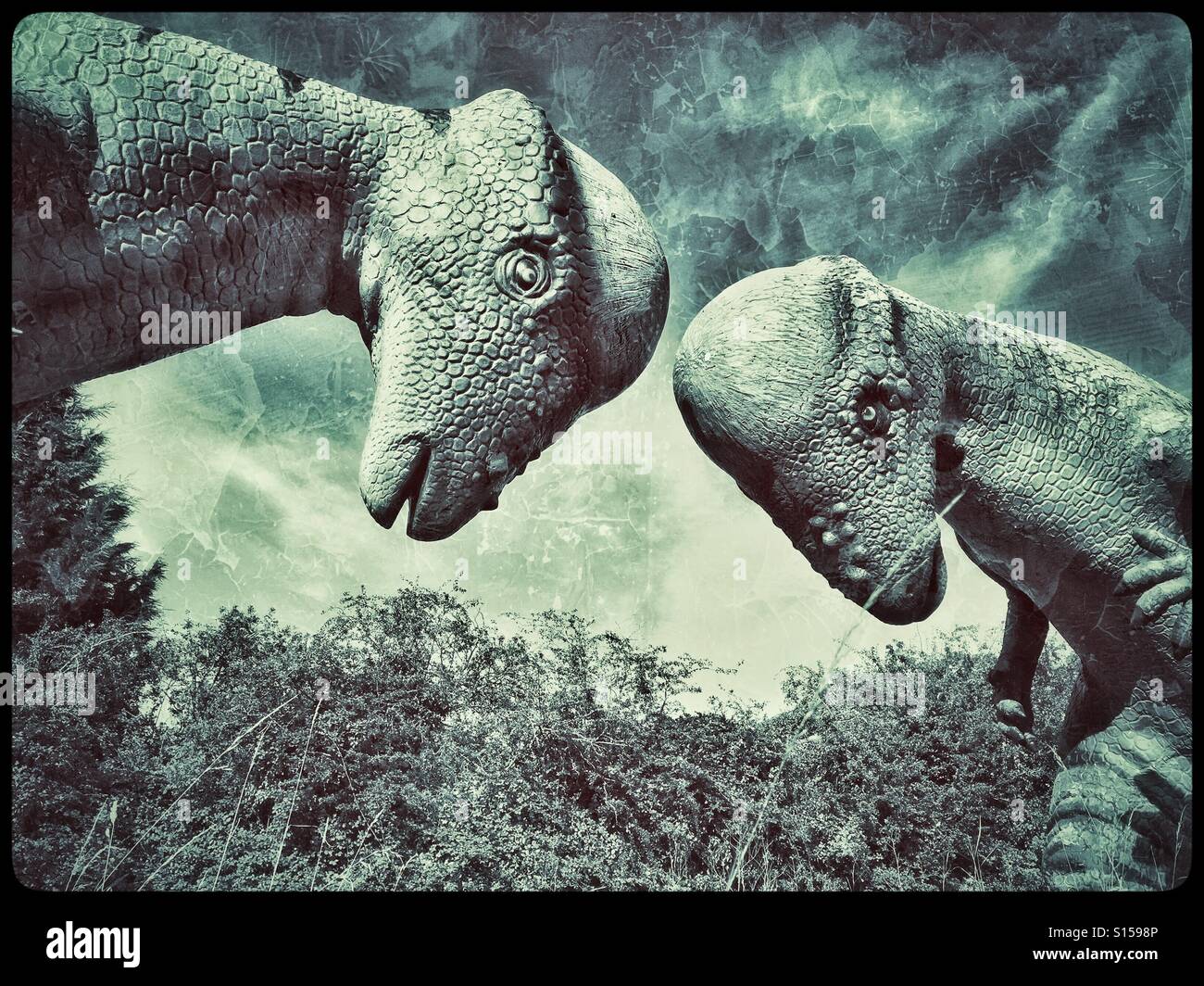 2 Pachycephalosaur Dinosaurier verwenden Sie oben ihre knöchernen Schädel zu einem Kopfstößen Wettbewerb beteiligen. Diese Dinosaurier sind Bestandteil der Cerapoda Unterordnung & lebte während der Jura- und Kreidezeit Perioden. Stockfoto