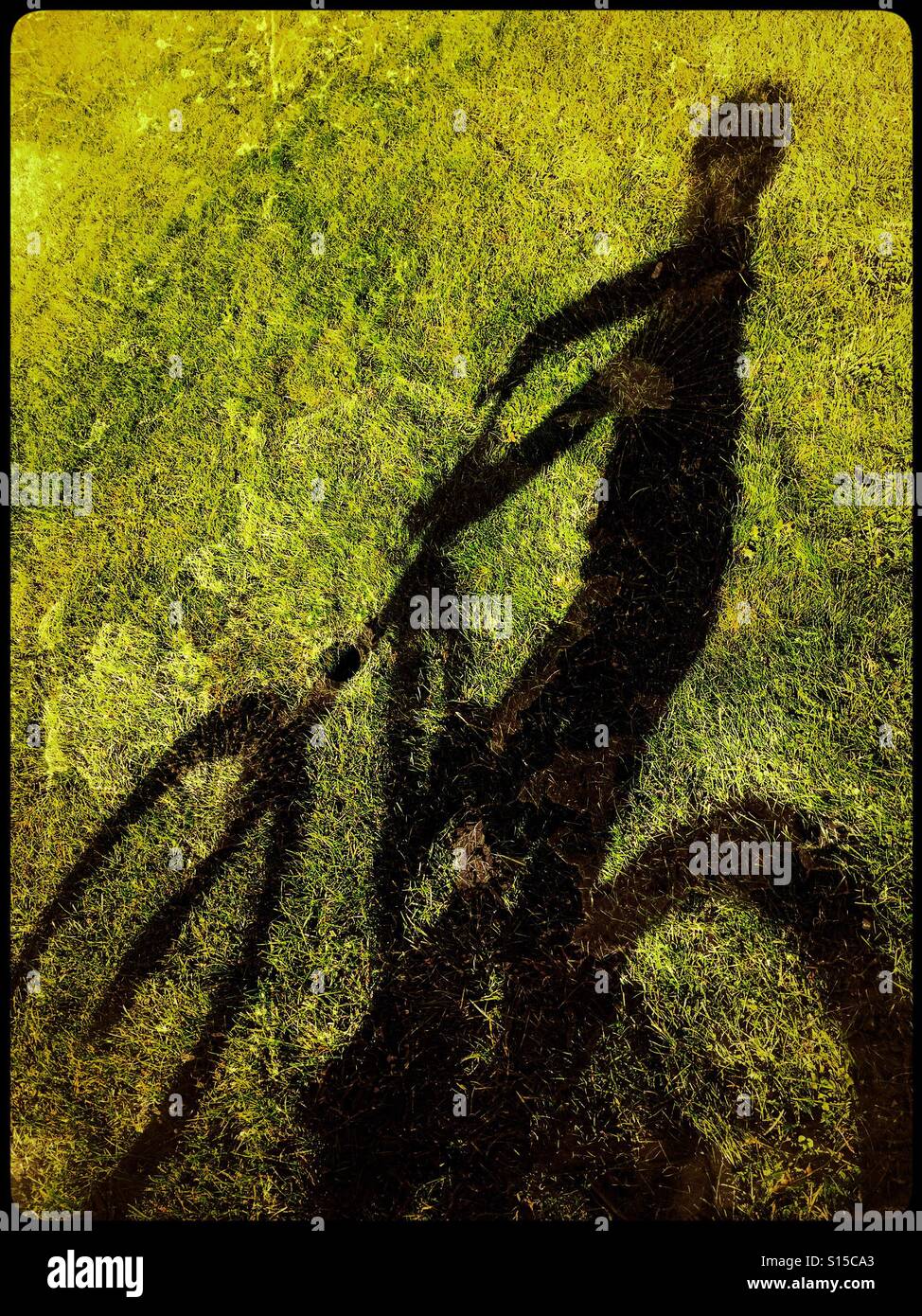 Ein Grunge-Effekt Bild des Schattens eines 7-jährigen Jungen. Er reitet auf seinem neuen Fahrrad auf dem grünen Rasen. Bildnachweis - © COLIN HOSKINS. - Smartphone-aufgenommenes Stockfoto