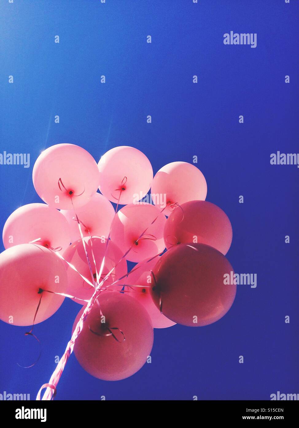 99 Luftballons rosa Stockfoto