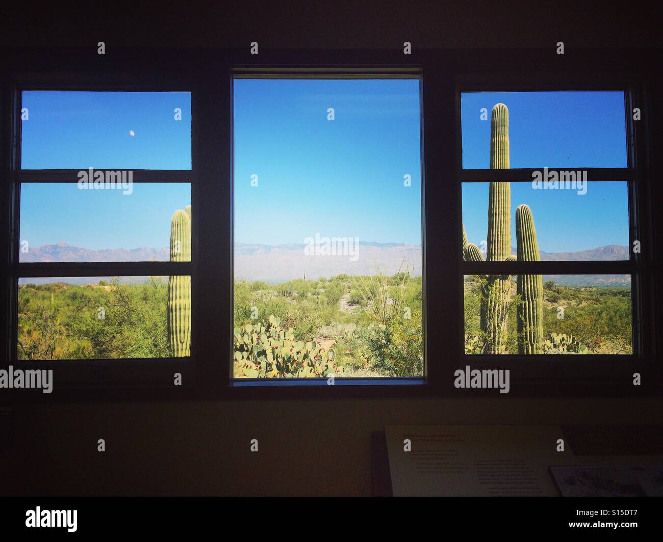 Blick von innen das Visitor Center, Saguaro National Park East, Tucson, Arizona - Smartphone-aufgenommenes Stockfoto