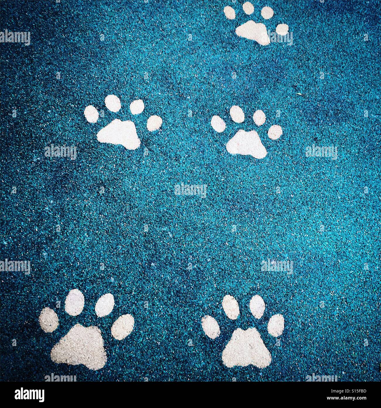 Fußabdruck-Markierungen im Erdgeschoss eines Tieres Pfoten wie ein Hund oder eine Katze auf strukturiertem blauem Grund als Dekorationssymbol Symbol weiß Stockfoto