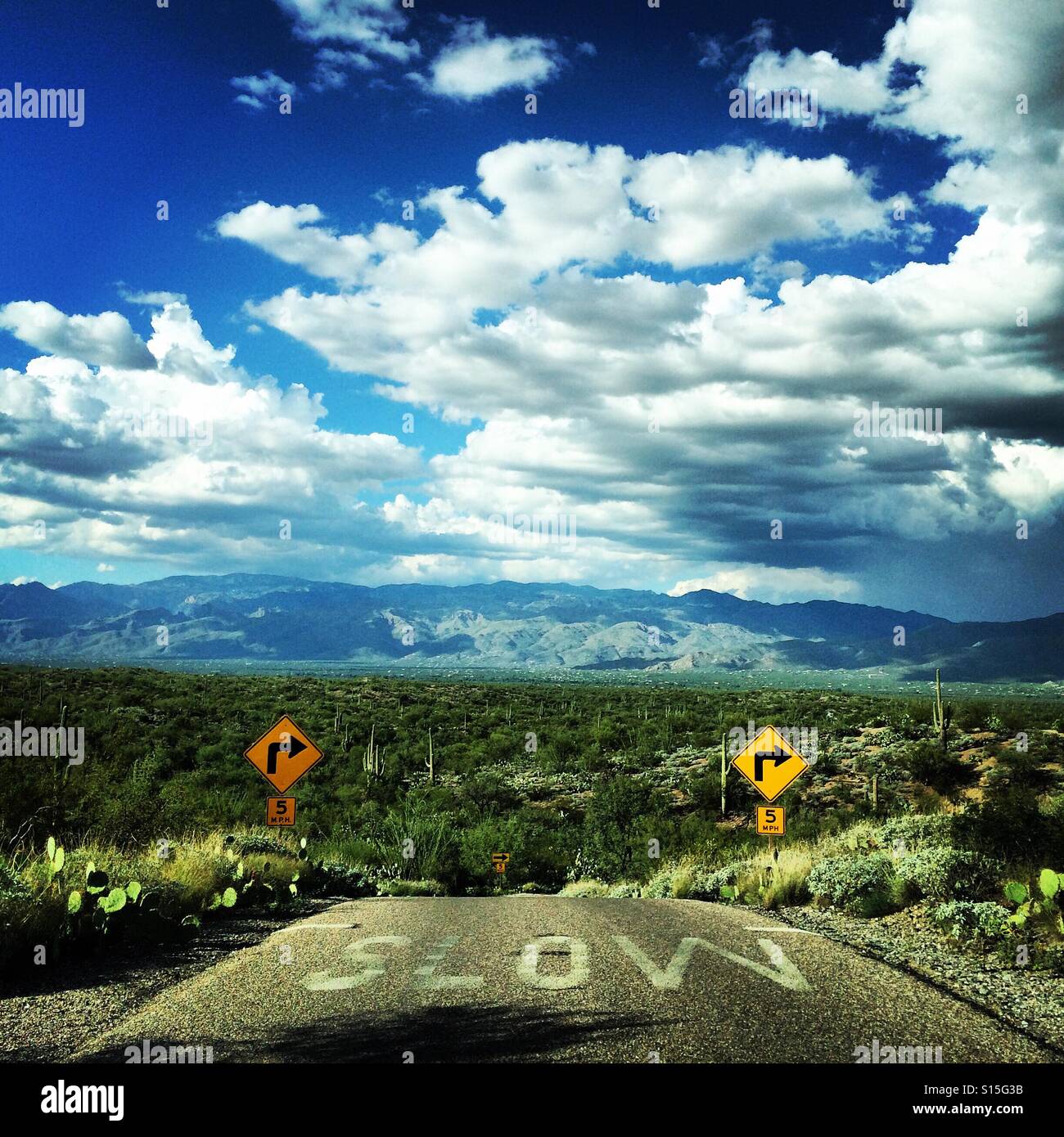 Straße im Saguaro National Park East, Tucson, Arizona - Smartphone-aufgenommenes Stockfoto