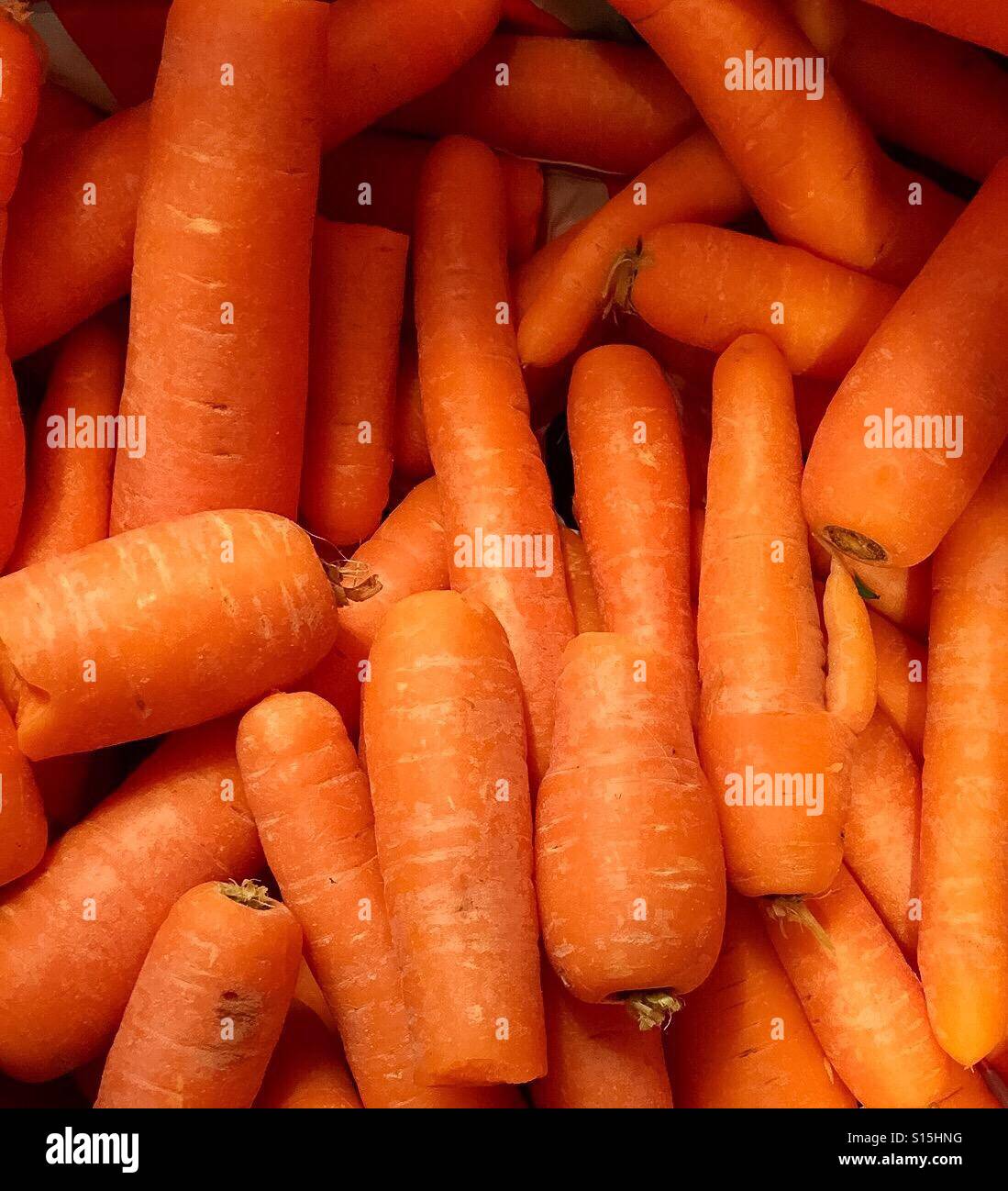 Ein Haufen von Karotten in einem zufälligen Haufen. Ungeordnet und unbearbeitet. Stockfoto