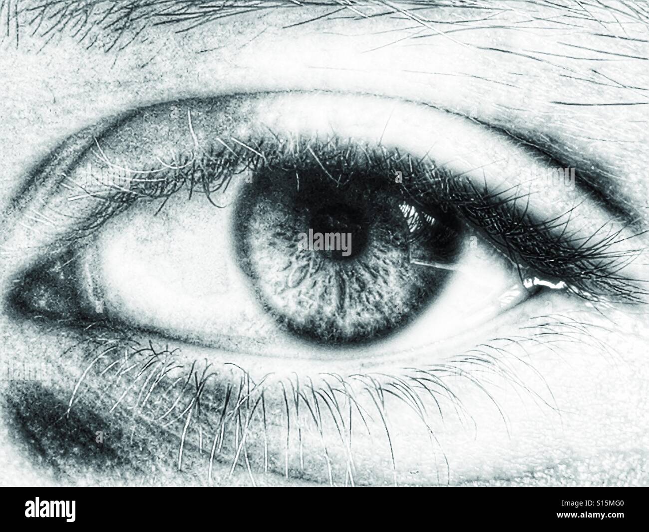 Auge - Smartphone-aufgenommenes Stockfoto