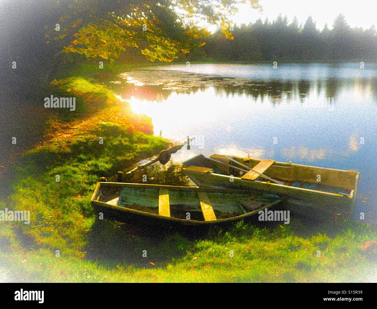 Nebelmorgen über ruhigem See, Fenwick, Ayrshire, Schottland, Großbritannien - Smartphone-aufgenommenes Stockfoto