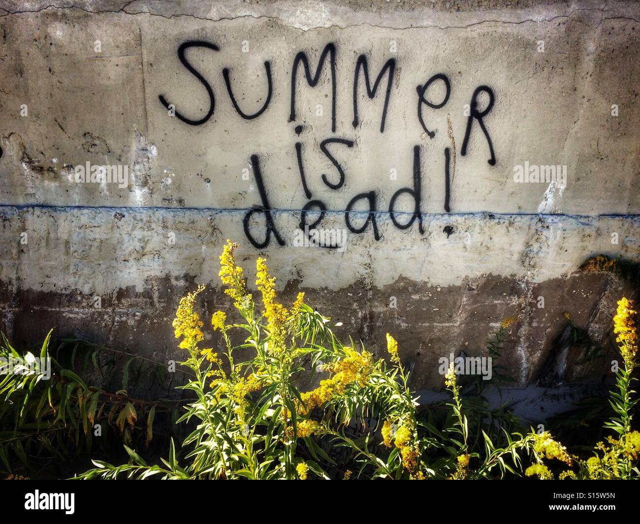 Sommer ist tot - Graffiti an der Wand Stockfoto