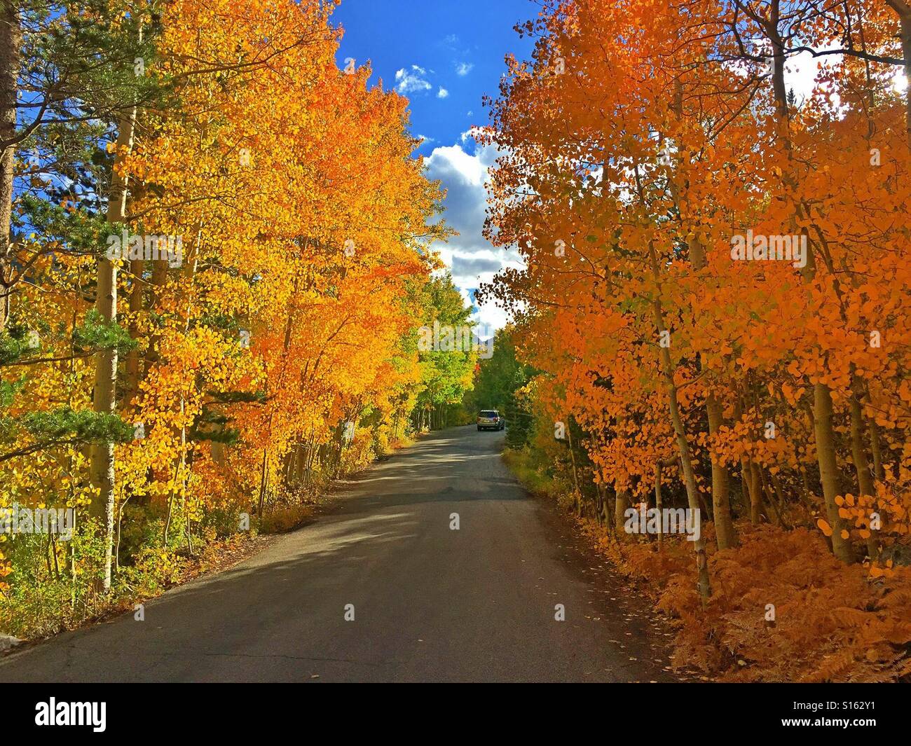 Herbst-Straße Stockfoto