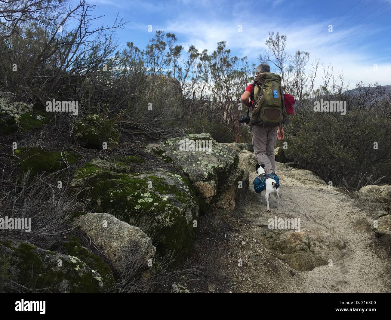 Mann und sein Hund wandern die PCT Stockfoto