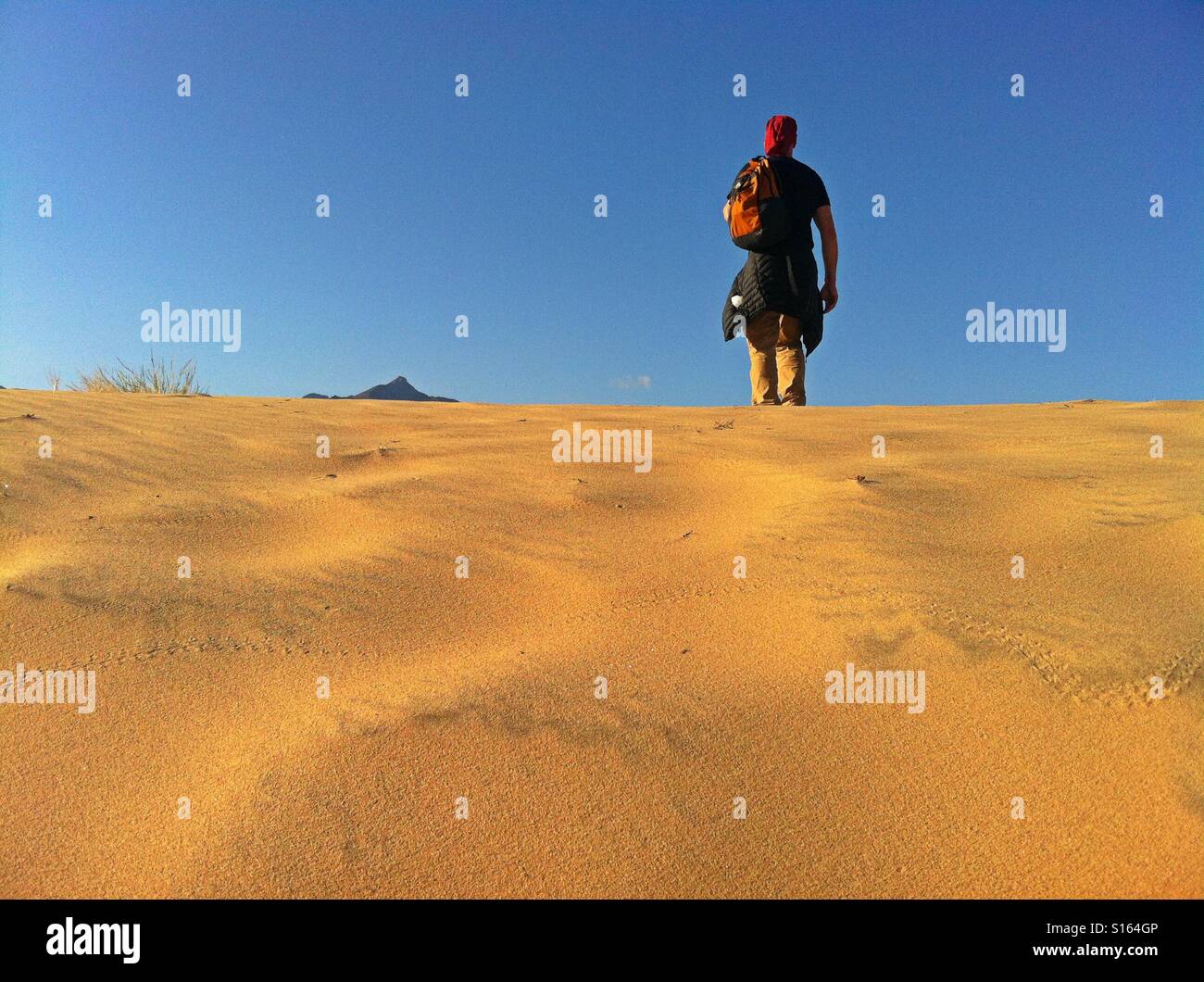 Mann, der in der Ansicht Kelso Dünen, Ca Stockfoto