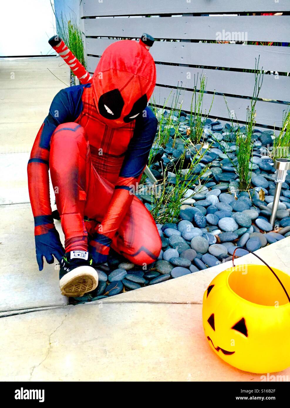 Spider-Man-Halloween-Kostüm Stockfoto