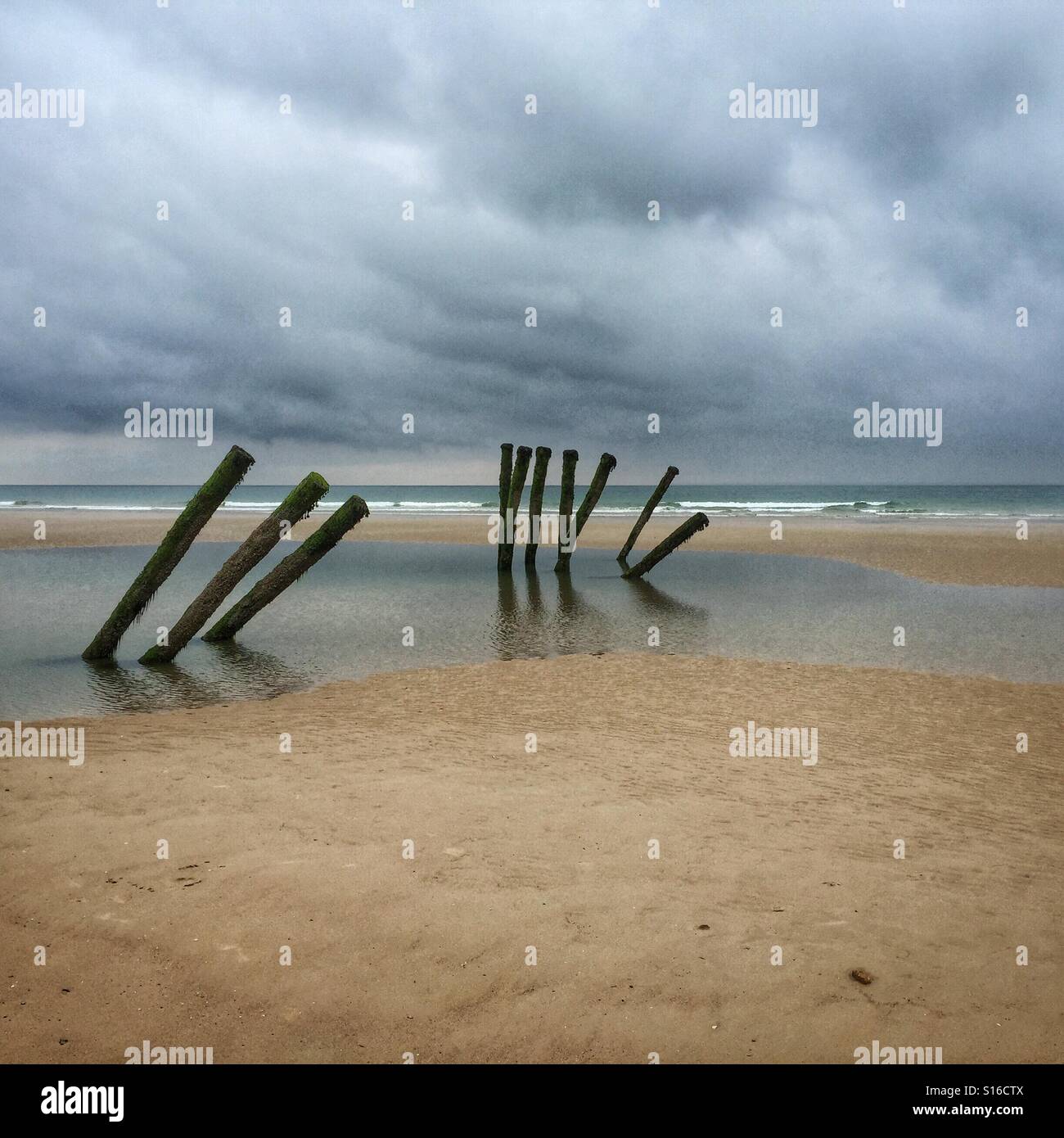 Holz, Sand und Meer Stockfoto