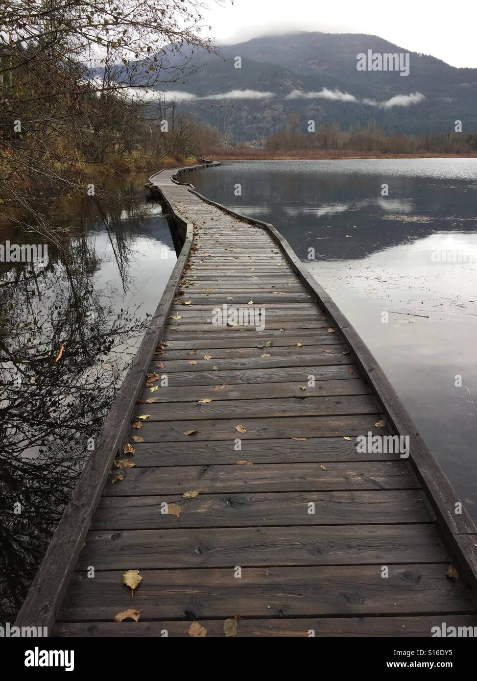 Holzweg durch den nebligen See Stockfoto