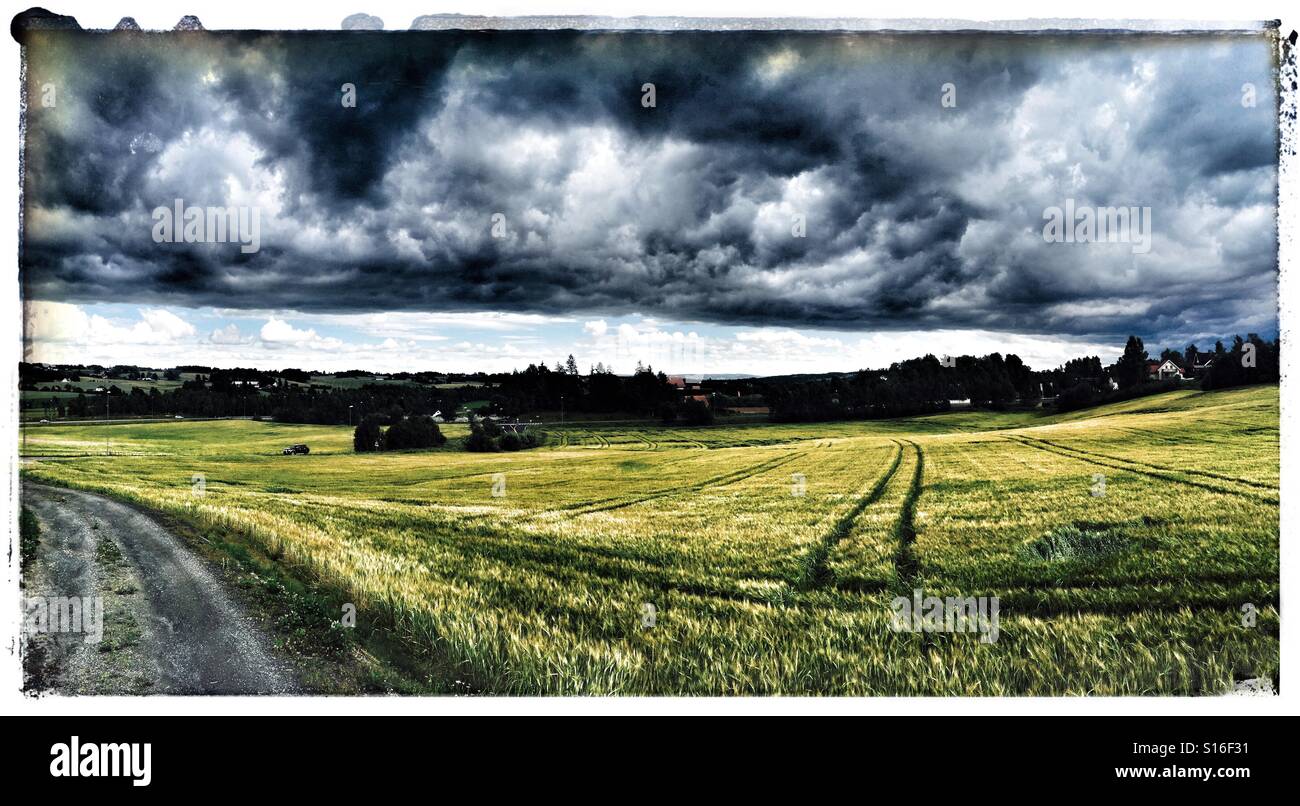 Norwegischen Bauernhof Feld Stockfoto
